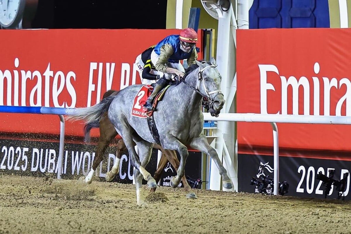 Dubai-World-Cup-2025-1